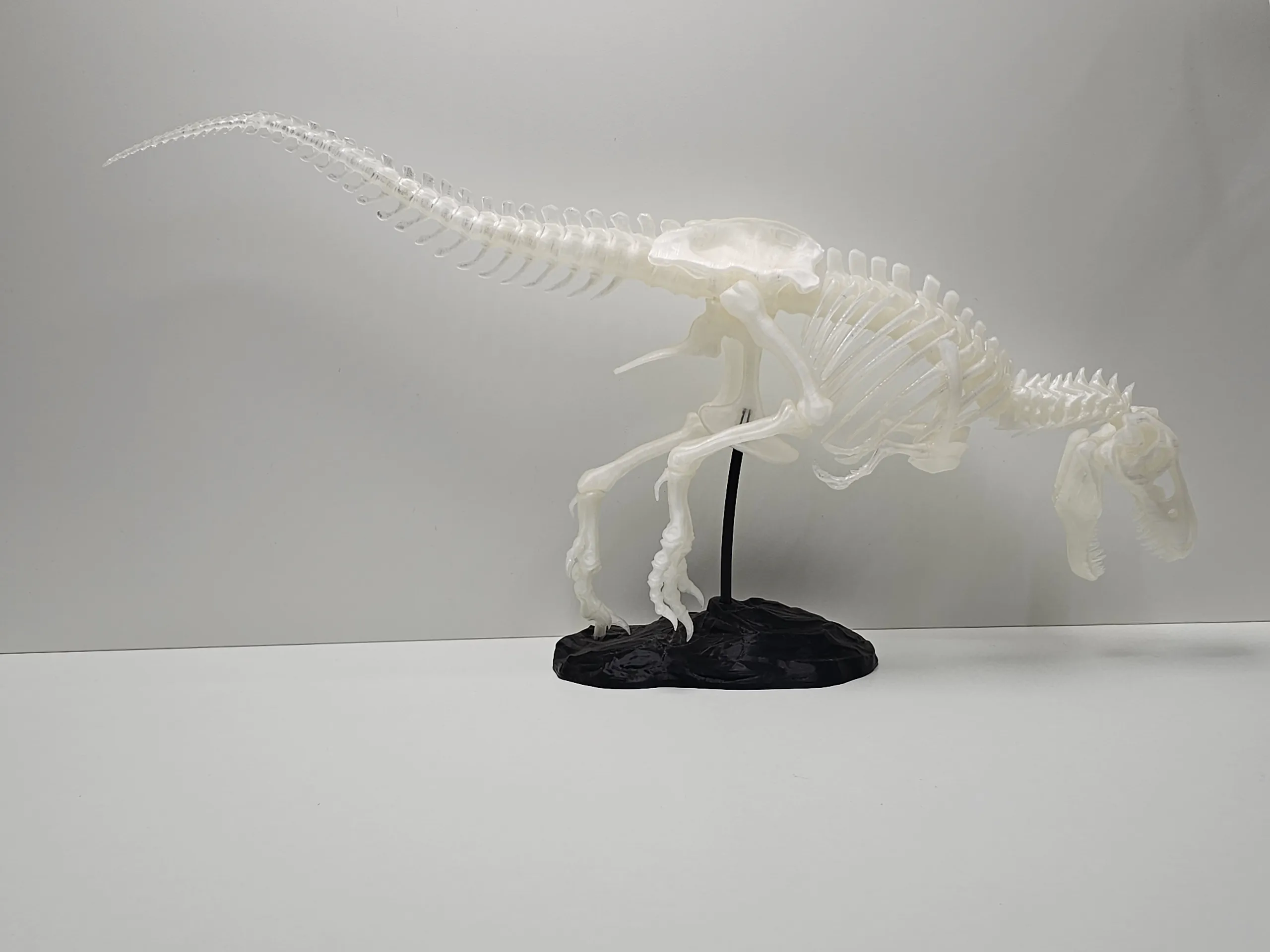 T-Rex 3D